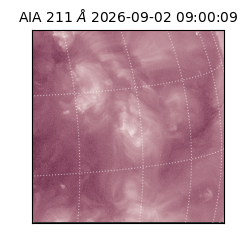 saia - 2026-09-02T09:00:09.620000