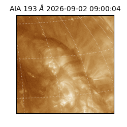 saia - 2026-09-02T09:00:04.840000