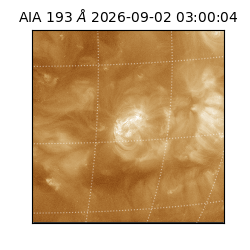 saia - 2026-09-02T03:00:04.840000