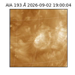 saia - 2026-09-02T19:00:04.850000