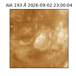 saia - 2026-09-02T23:00:04.840000
