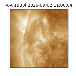 saia - 2026-09-02T11:00:04.840000