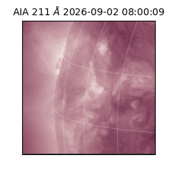 saia - 2026-09-02T08:00:09.620000
