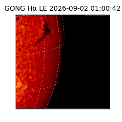 gong - 2026-09-02T01:00:42