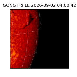 gong - 2026-09-02T04:00:42