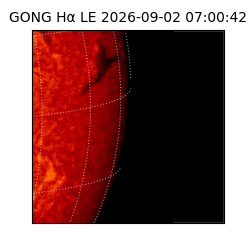 gong - 2026-09-02T07:00:42
