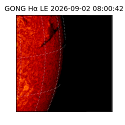 gong - 2026-09-02T08:00:42