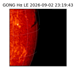 gong - 2026-09-02T23:19:43