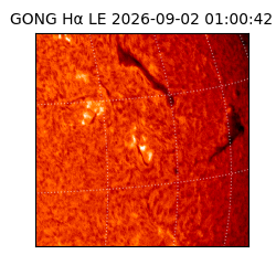 gong - 2026-09-02T01:00:42