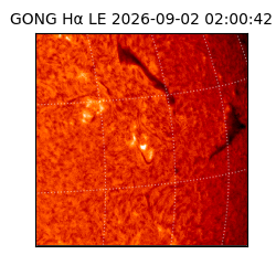 gong - 2026-09-02T02:00:42