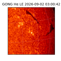 gong - 2026-09-02T03:00:42