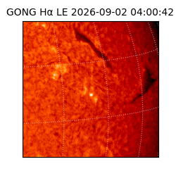 gong - 2026-09-02T04:00:42