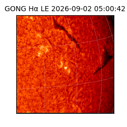 gong - 2026-09-02T05:00:42