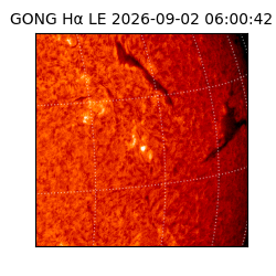 gong - 2026-09-02T06:00:42