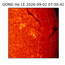 gong - 2026-09-02T07:00:42