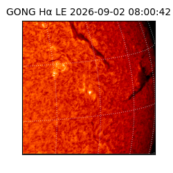gong - 2026-09-02T08:00:42