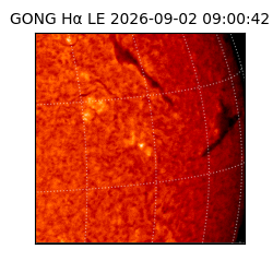 gong - 2026-09-02T09:00:42