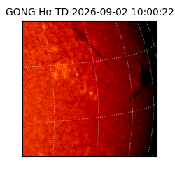 gong - 2026-09-02T10:00:22
