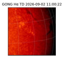 gong - 2026-09-02T11:00:22