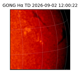 gong - 2026-09-02T12:00:22