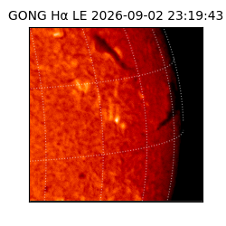 gong - 2026-09-02T23:19:43