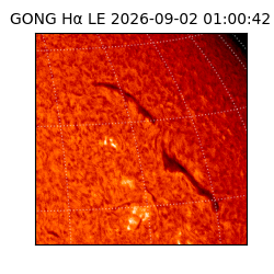 gong - 2026-09-02T01:00:42