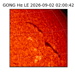 gong - 2026-09-02T02:00:42