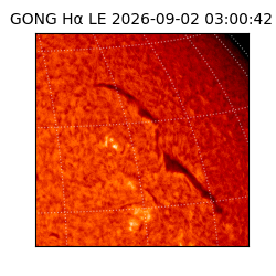 gong - 2026-09-02T03:00:42