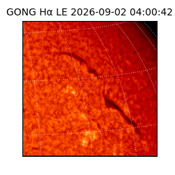 gong - 2026-09-02T04:00:42