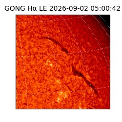 gong - 2026-09-02T05:00:42