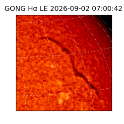 gong - 2026-09-02T07:00:42