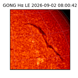 gong - 2026-09-02T08:00:42