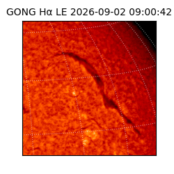 gong - 2026-09-02T09:00:42