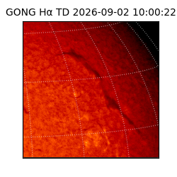 gong - 2026-09-02T10:00:22