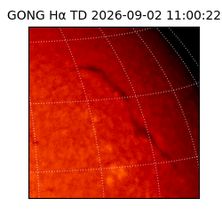 gong - 2026-09-02T11:00:22