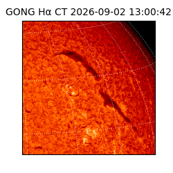 gong - 2026-09-02T13:00:42