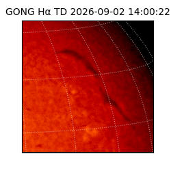 gong - 2026-09-02T14:00:22
