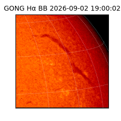 gong - 2026-09-02T19:00:02