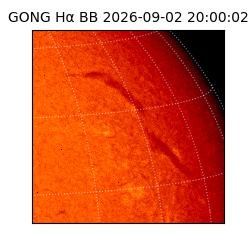 gong - 2026-09-02T20:00:02