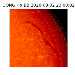 gong - 2026-09-02T23:00:02