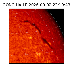 gong - 2026-09-02T23:19:43