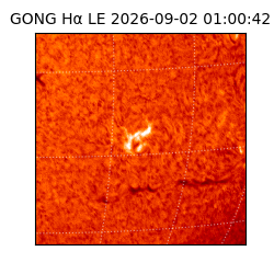 gong - 2026-09-02T01:00:42