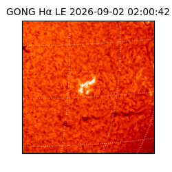 gong - 2026-09-02T02:00:42