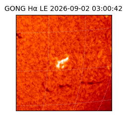 gong - 2026-09-02T03:00:42