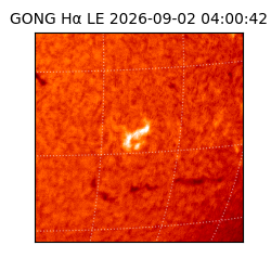 gong - 2026-09-02T04:00:42