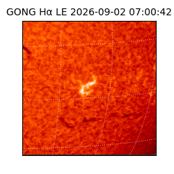 gong - 2026-09-02T07:00:42