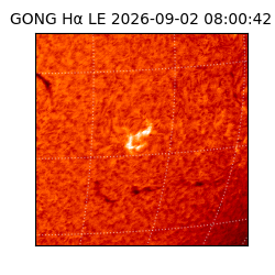 gong - 2026-09-02T08:00:42