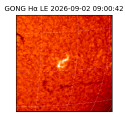 gong - 2026-09-02T09:00:42