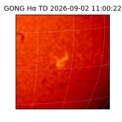 gong - 2026-09-02T11:00:22
