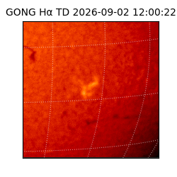 gong - 2026-09-02T12:00:22